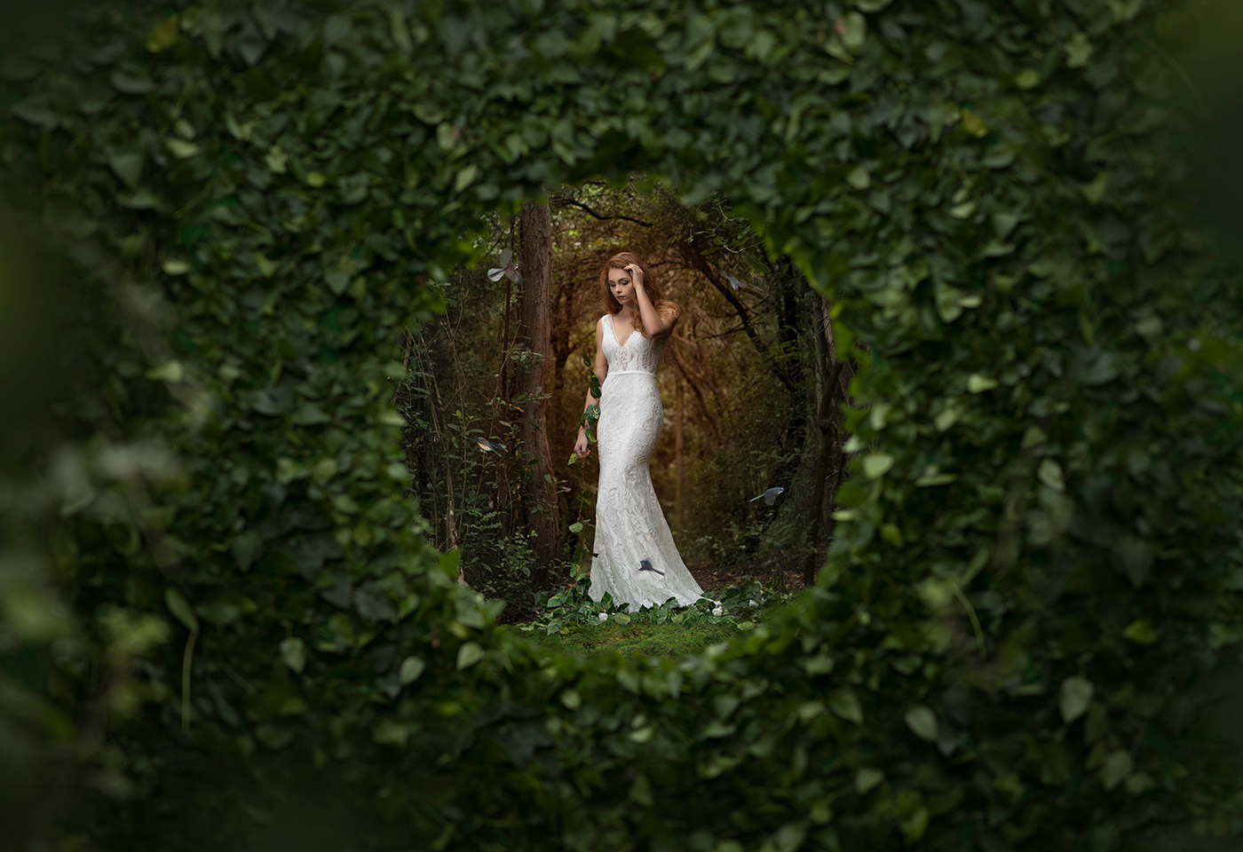 The Dress - Jenna Young