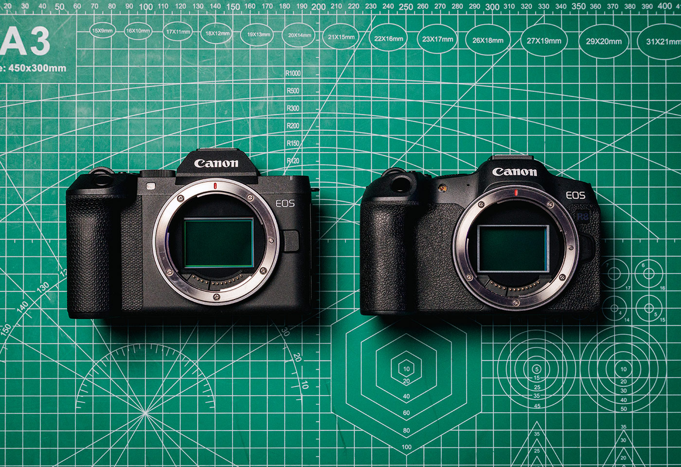 EOS R8 Mark II vs EOS R8 Side by Side Tile