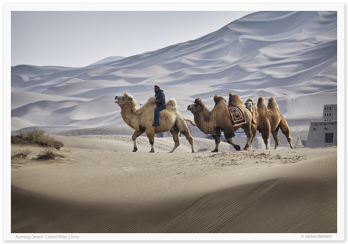 Kumtag Desert camel riders photographed by Jackie Ranken 